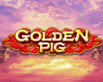 Golden Pig